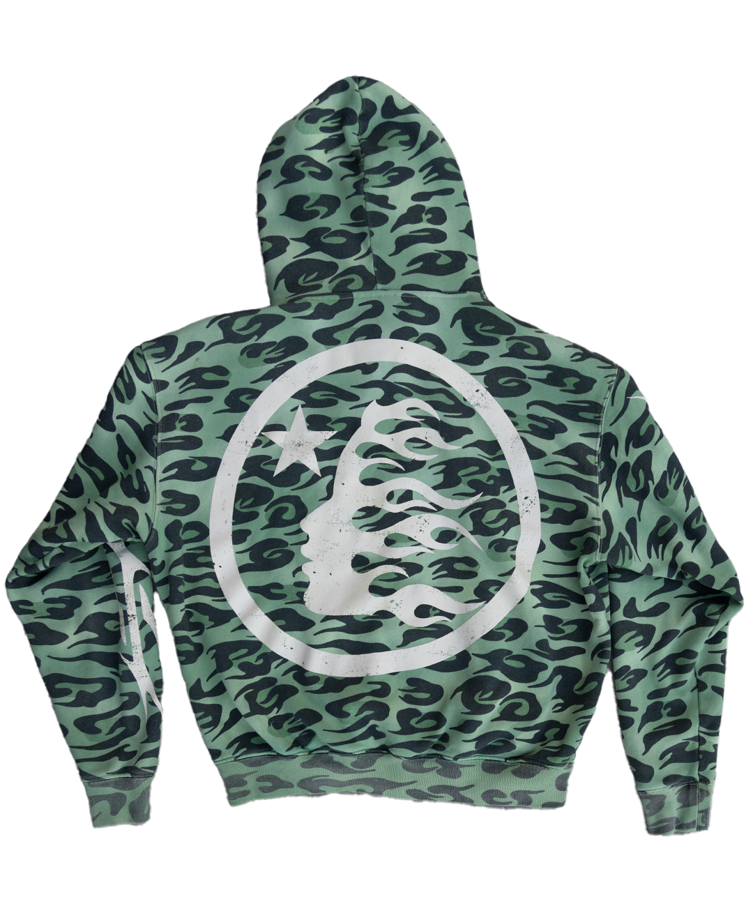 CHEETAHGREENBACK_f252407a-084a-497c-ae31-85f07ce42d72.png